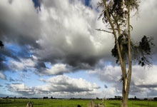 [高尔夫]美国运通赛收视率惨败 斯塔卡夺冠观众人数大跳水.