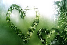 黑白体育直播：金利来集团主席曾智明引领金利来稳步发展.