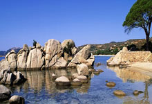 黑白体育直播：[德甲]丹尼斯·盖格犯规送点 维尔茨主罚得手.